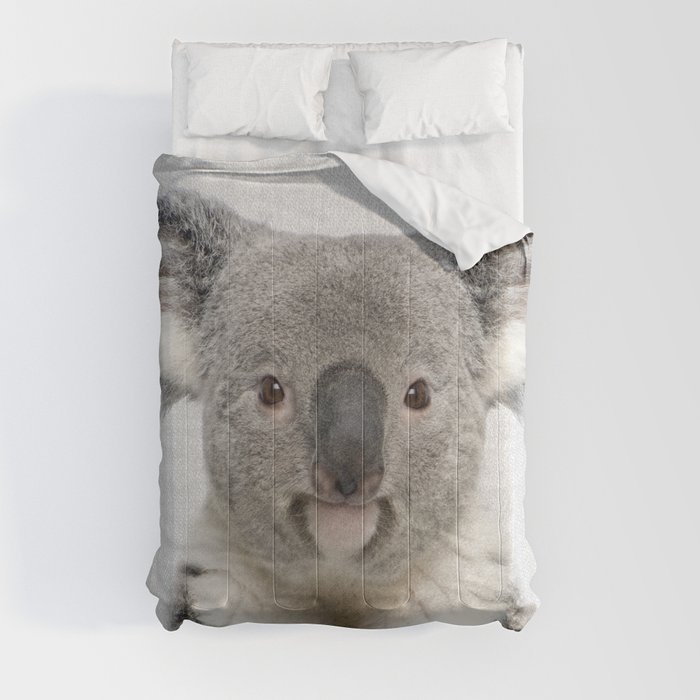 Koala 2 - Colorful Comforter