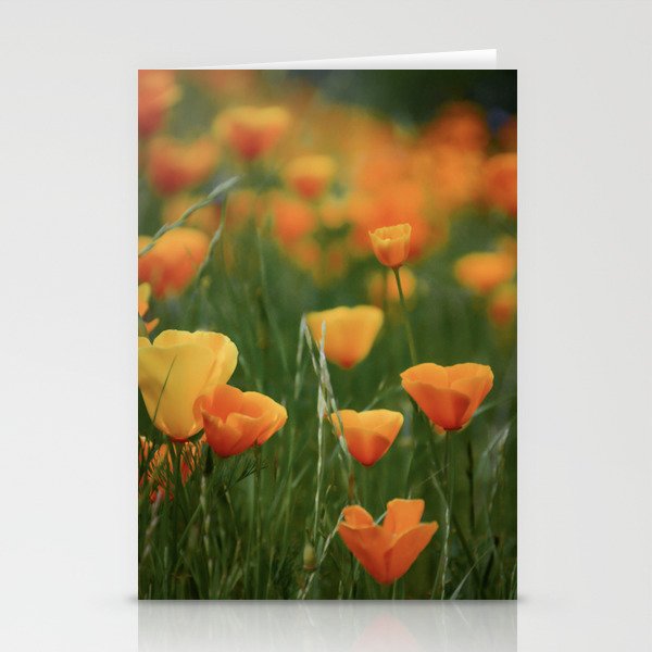 California Poppy Flowers Stationery Cards