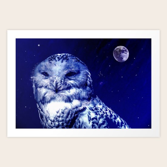 Night owl Art Print