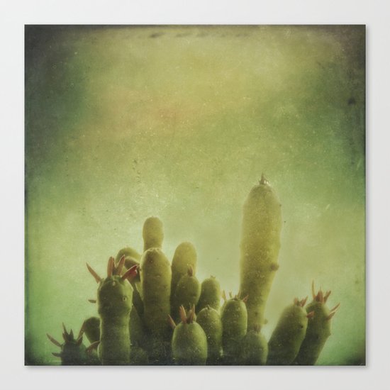 Cactus in my mind Canvas Print