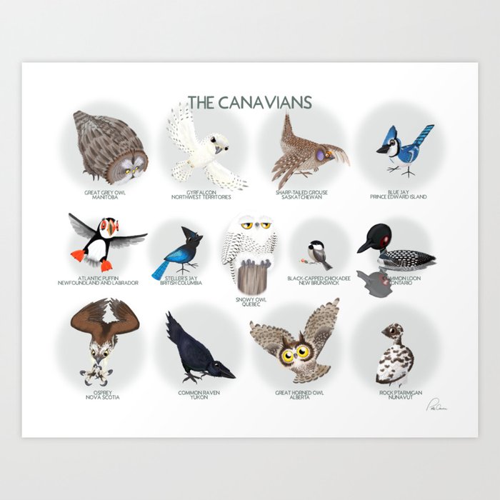 The Canavians - Birds of Canada Art Print