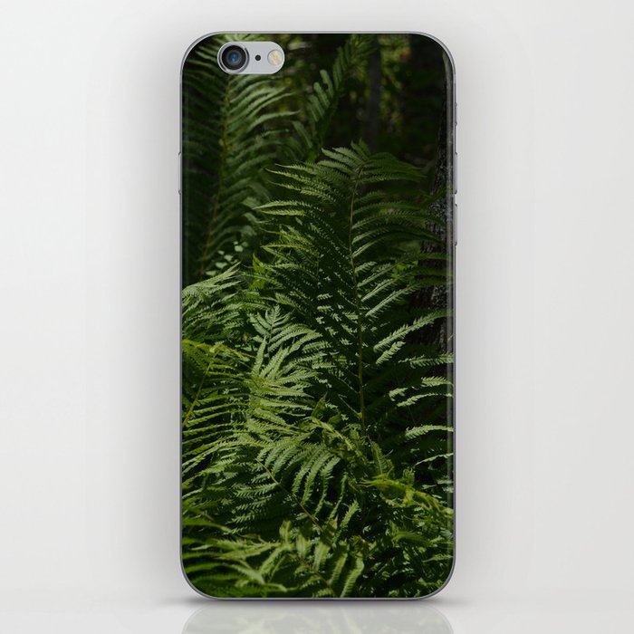 Forest ferns iPhone Skin