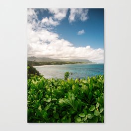 Kilauea Lookout Kauai Hawaii | Tropical Beach Nature Ocean Coastal Travel Photography Print Canvas Print