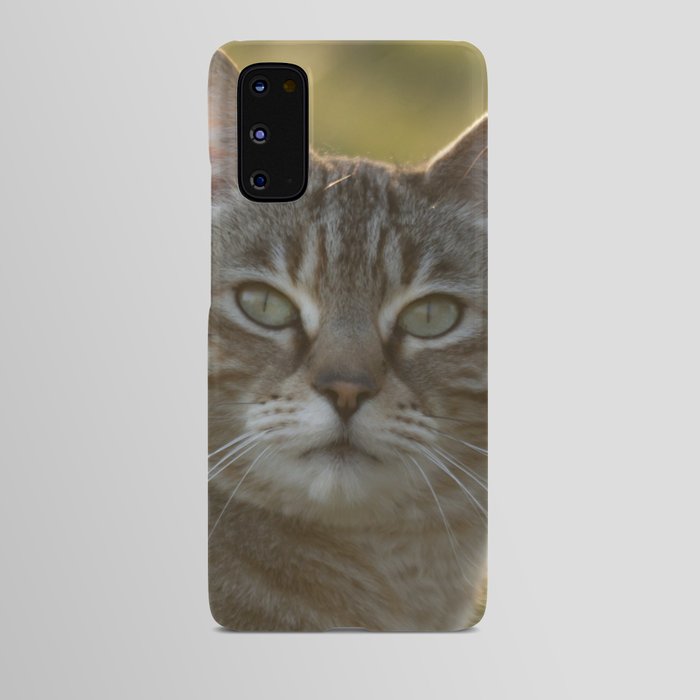 Tabby cat Android Case