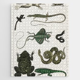 Collection of Various Reptiles  Jigsaw Puzzle