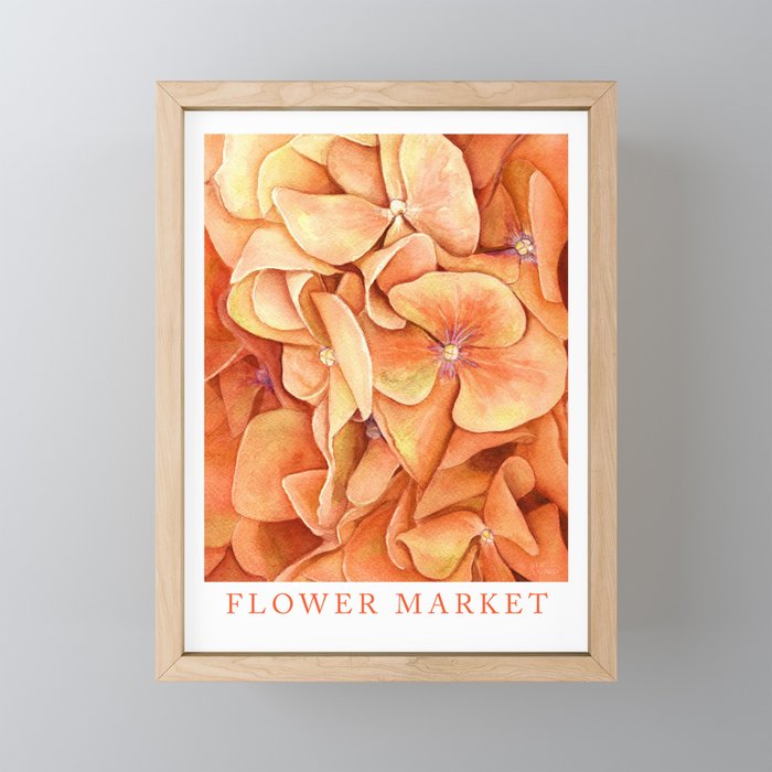 Orange Hydrangea Watercolor - Flower Market Poster Framed Mini Art Print