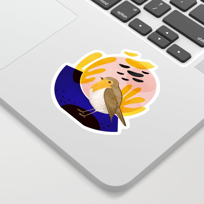 Robin bird Sticker