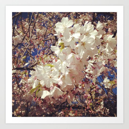 Spring pink Art Print