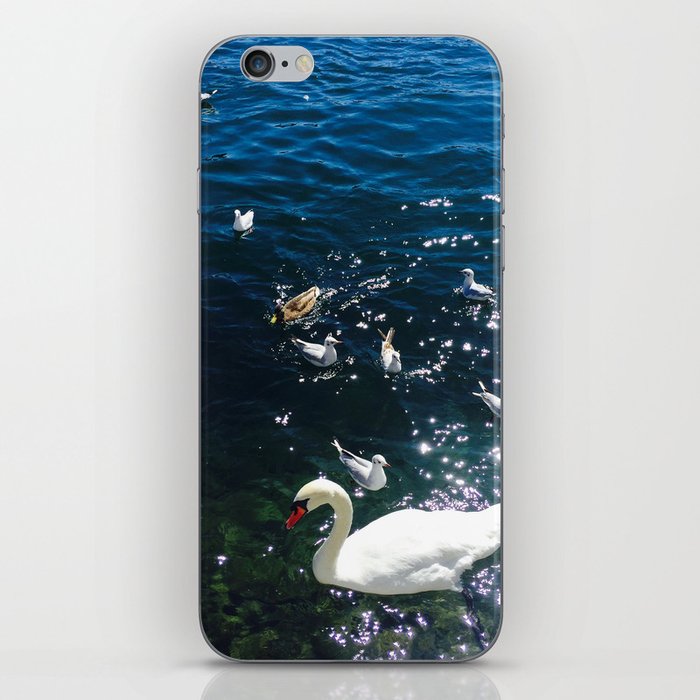 Pond, Water, Lake, Duck, Swan iPhone Skin