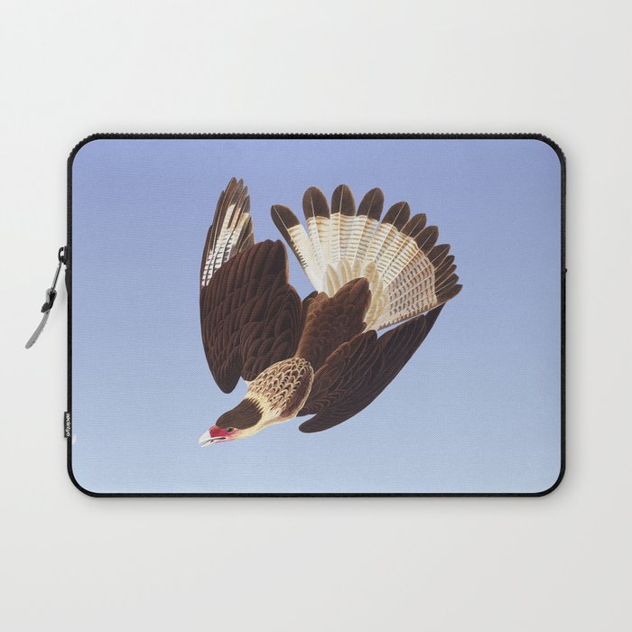 Brazilian Caracara Eagle by Audubon Laptop Sleeve