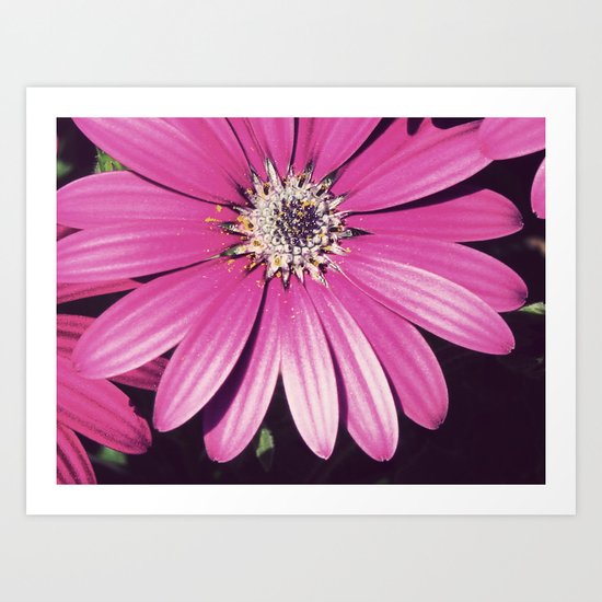 Daizy Art Print
