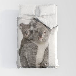 Koala bear and her baby Comforter