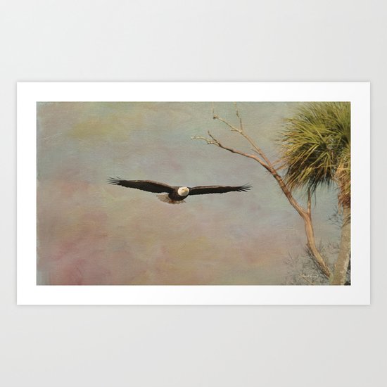 Eagle Soft Glide Art Print