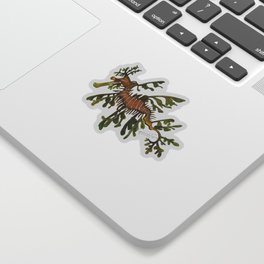 Leafy Seadragon - Phycodurus eques Sticker