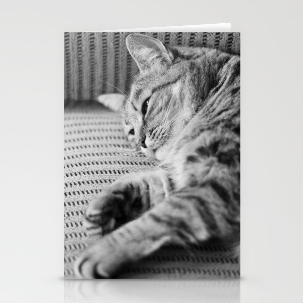 Cat Stationery Cards