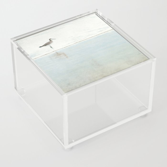 Reflecting Sandpiper Acrylic Box