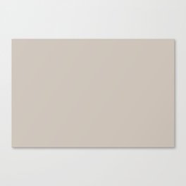 Warm Gray Solid Color Pairs Pantone Ancient Scroll 13-0404 TCX - Shades of Orange Hues Canvas Print