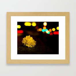 Night Flower Framed Art Print