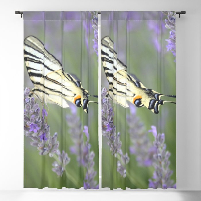 Swallowtail Sideview Amongst Lavender Spikes Photograph Blackout Curtain