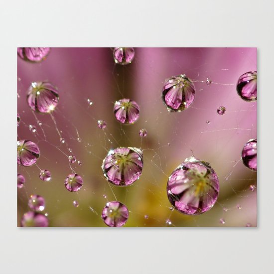 who knew a web could hold such treasures? Canvas Print