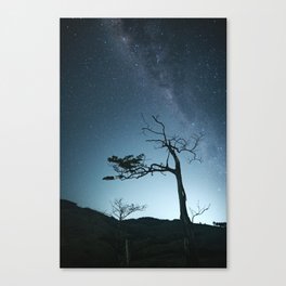 tree with the milky way in the background Canvas Print
