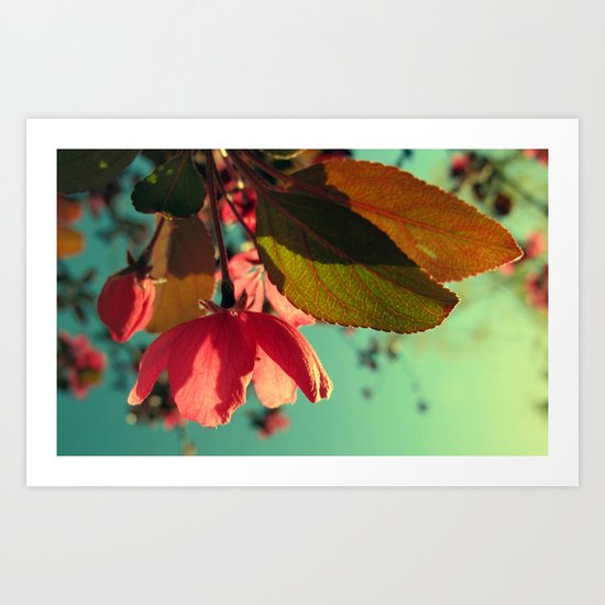 Afternoon Delight Art Print
