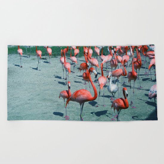 Flamingo 4 Beach Towel