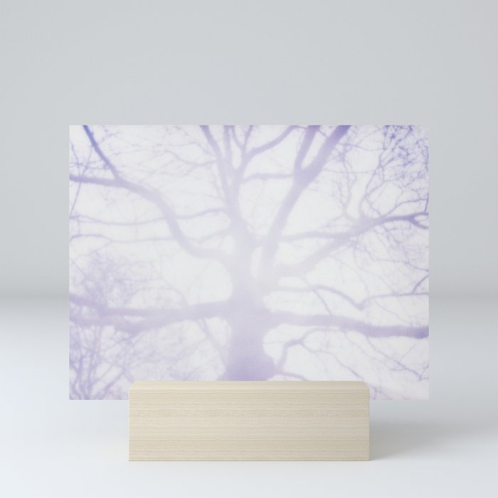 Dreams of a tree Mini Art Print