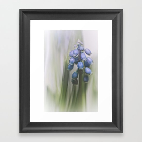 Grape Hyacinth VII Framed Art Print