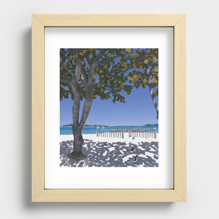 Seagrapes Seaview Seagulls Recessed Framed Print