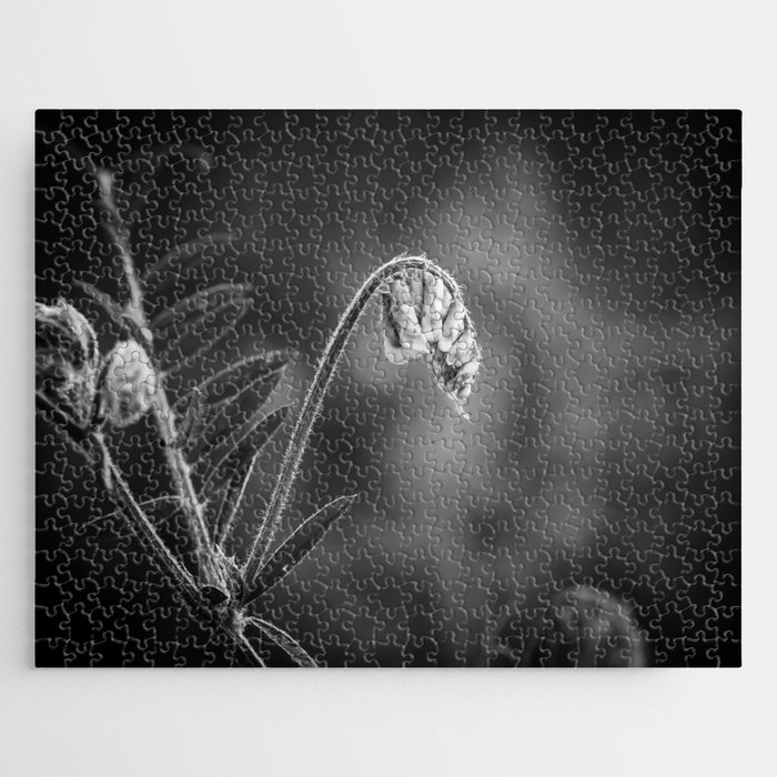 Black and white flowers high contrast Jigsaw Puzzle
