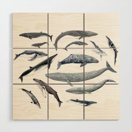 Whales all around Wood Wall Art