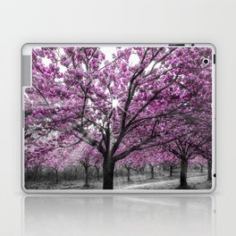 Cherry blossoms with sunrays Laptop Skin
