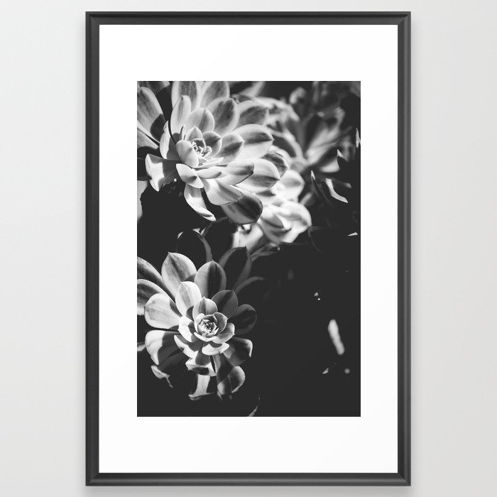 Dramatic Botanicals x Succulents Botanical Photography Framed Art Print