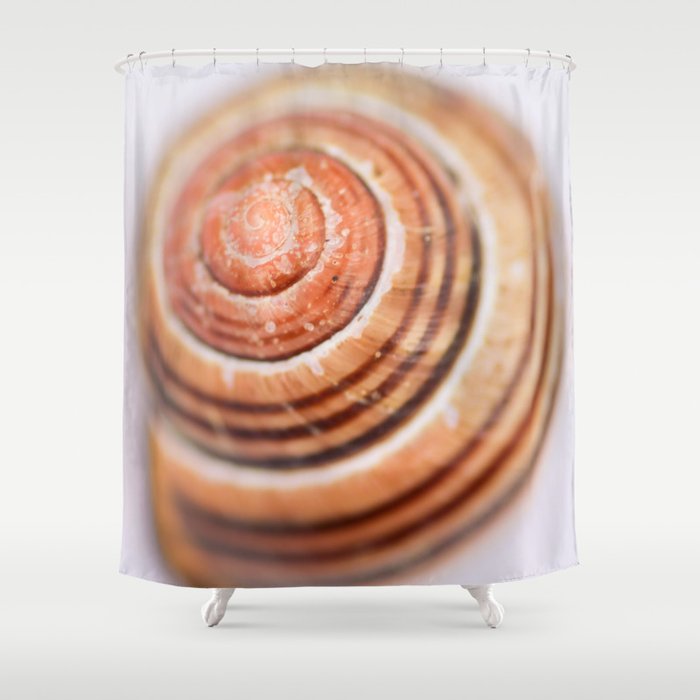 Snail Shell Shower Curtain