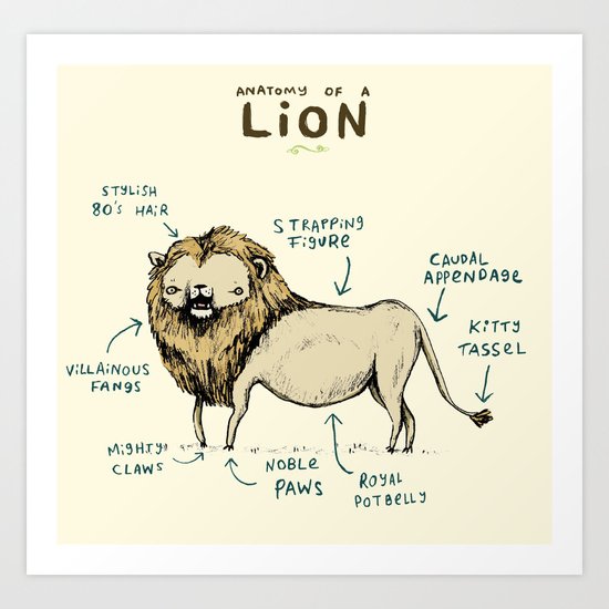 Anatomy of a Lion Art Print