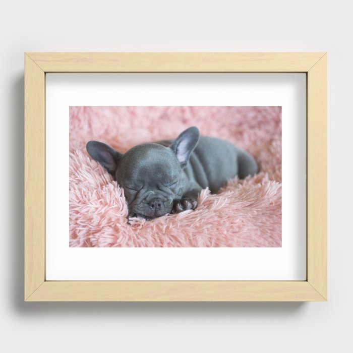 Frenchie Puppy Recessed Framed Print