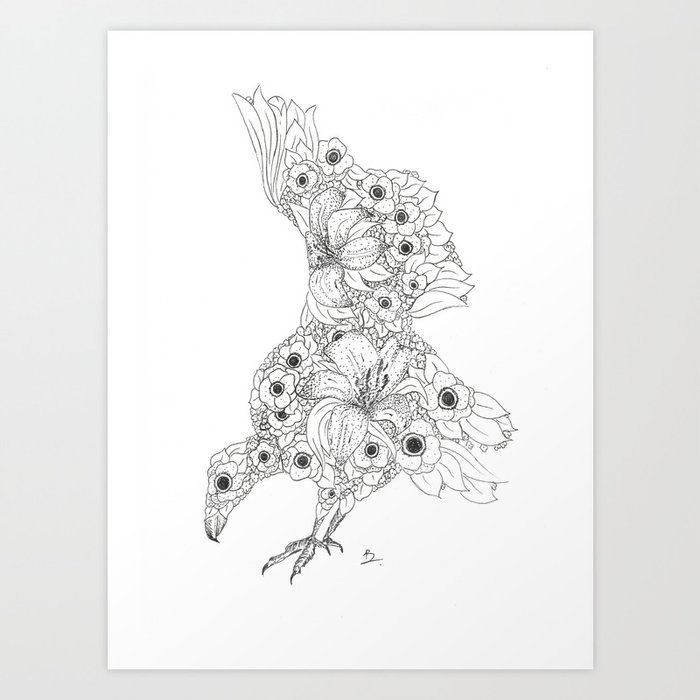 Anemone Lily Vulture Art Print