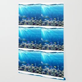 Sea Animals Wallpaper For Any Decor Style Society6
