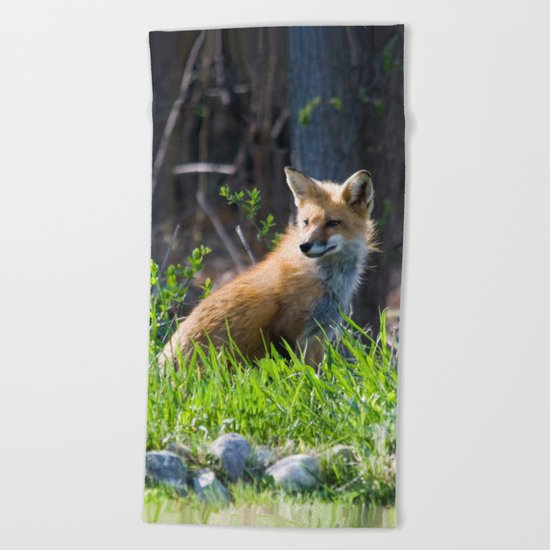 Foxy in the Morning Beach Towel