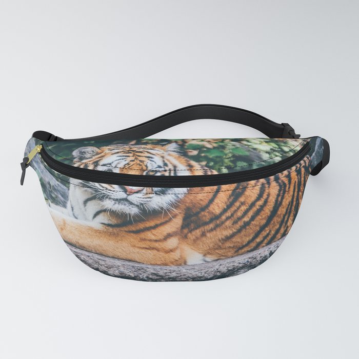 Majestic Tiger Sitting On A Rock Photography Fanny Pack