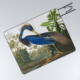 John James Audubon - Louisiana Heron Picnic Blanket
