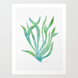 Green Seaweed Art Print