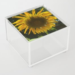 Sunny Summer Days  Acrylic Box