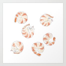 Ebinyanco -Shrimp Kitty- Art Print