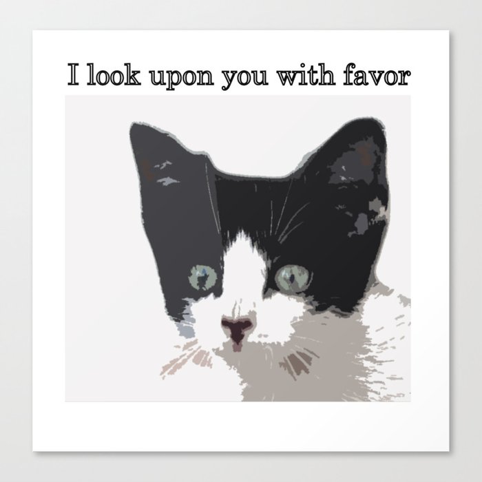 bully kitten i look upon you with favor Canvas Print