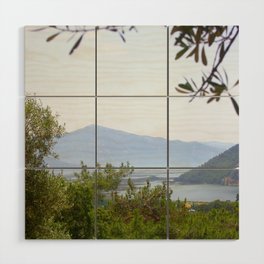 Dalyan Delta and the Mediterranean Sea Wood Wall Art