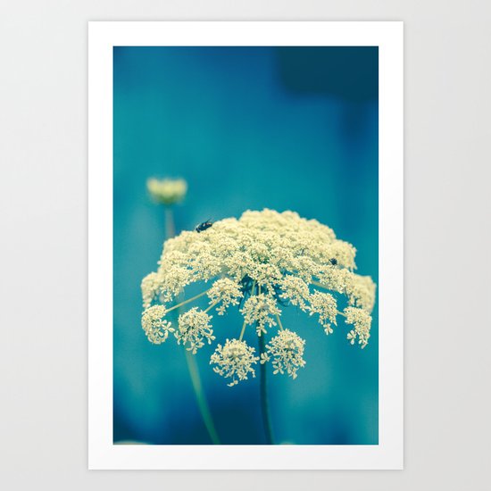 Lace Art Print