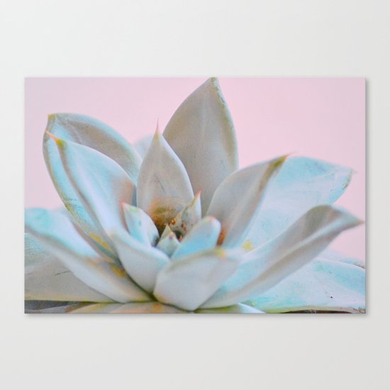 #148 Canvas Print