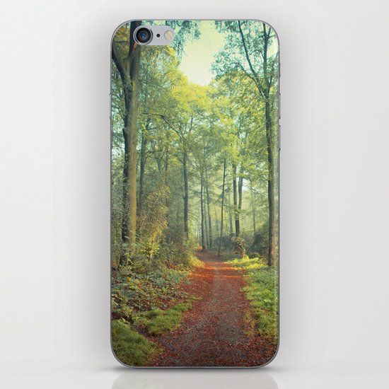Forest Morning Walk iPhone Skin